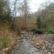 Obavještenje o prekidu vodosnabdijevanja s izvorišta Mahmutović rijeka