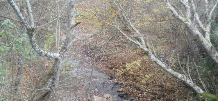 Obavijest o prekidu vodosnabdijevanja s izvorišta Mahmutović rijeka
